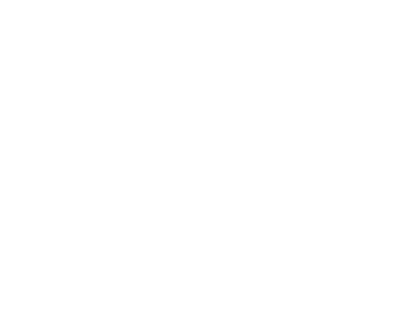 Dingo Built